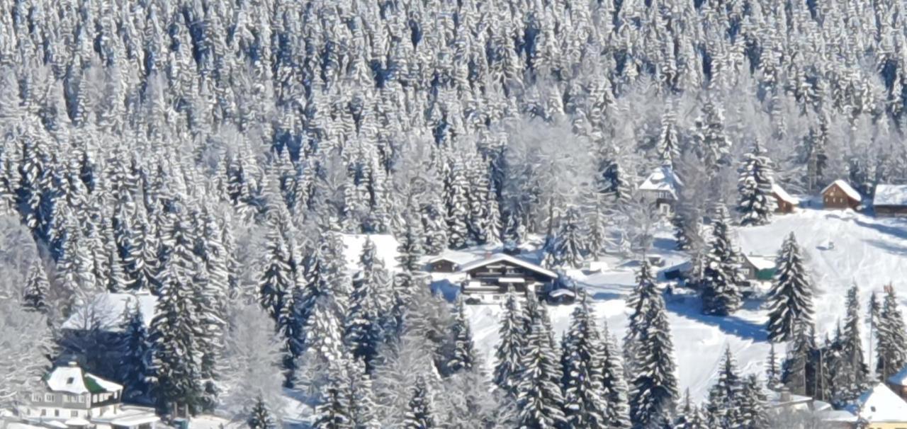 Pension Vinkl Harrachov Bagian luar foto
