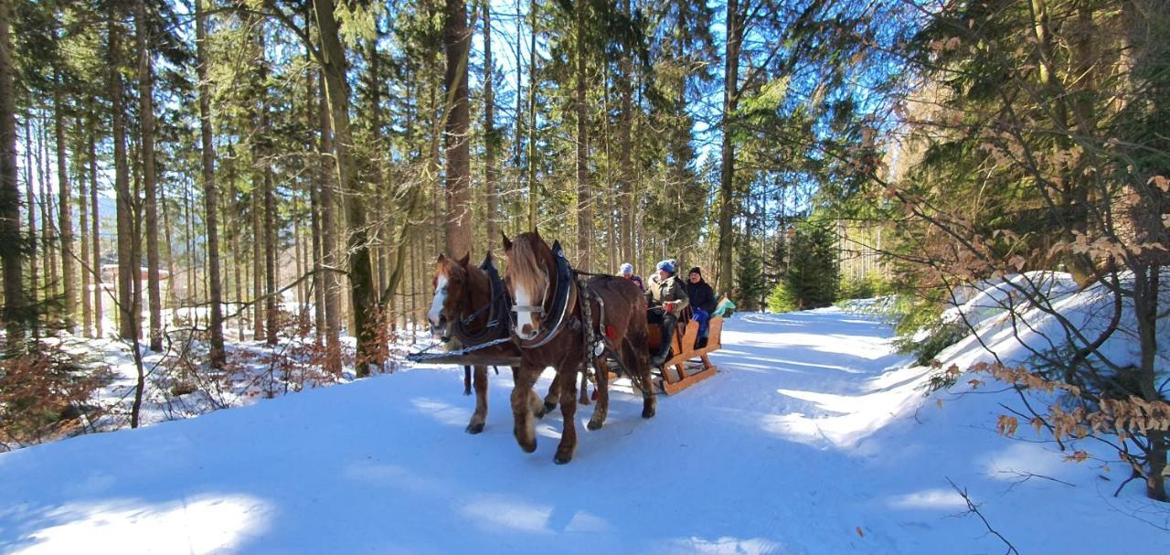 Pension Vinkl Harrachov Bagian luar foto