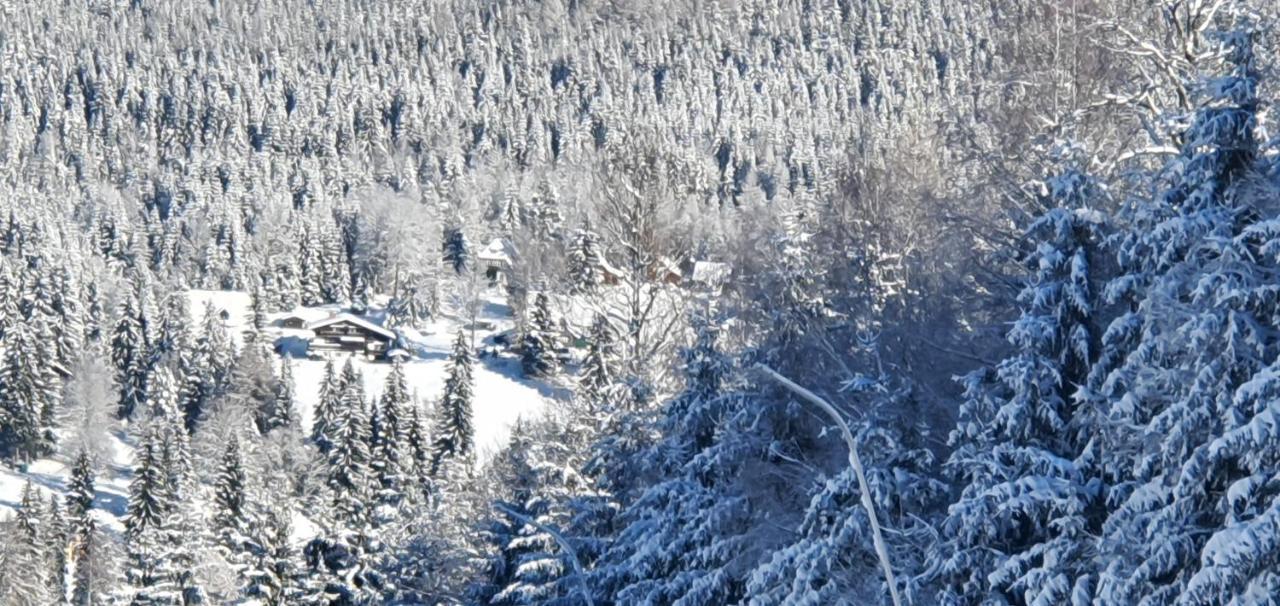 Pension Vinkl Harrachov Bagian luar foto