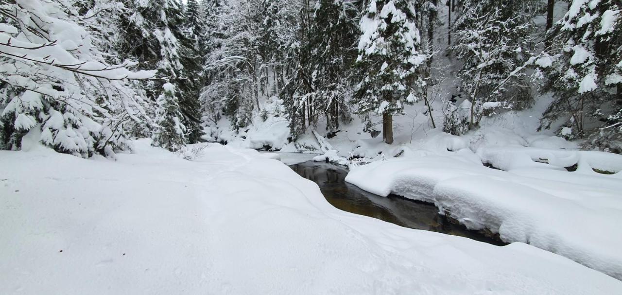 Pension Vinkl Harrachov Bagian luar foto