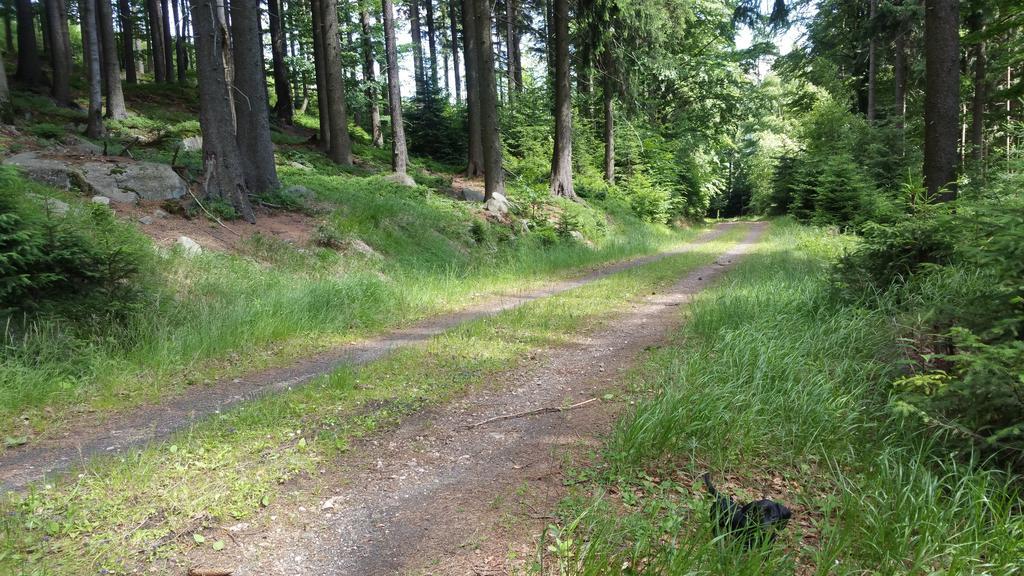 Pension Vinkl Harrachov Bagian luar foto