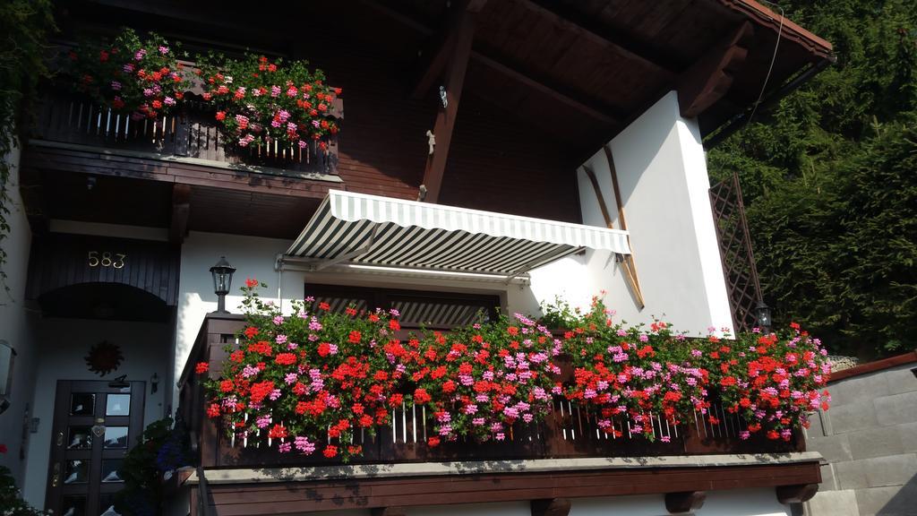 Pension Vinkl Harrachov Bagian luar foto